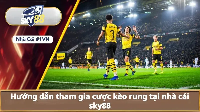 Hướng dẫn tham gia cược kèo rung tại nhà cái sky88