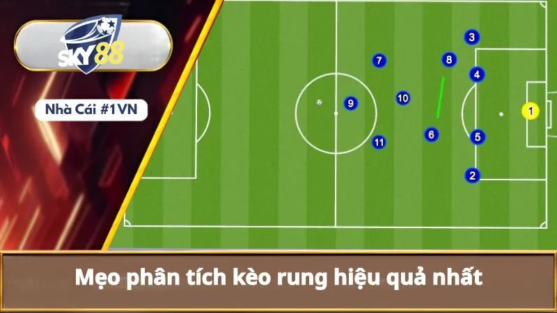 Mẹo phân tích kèo rung hiệu quả nhất