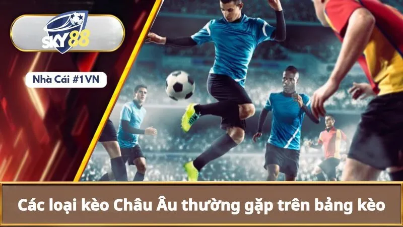 Kèo Châu Âu Là Gì? Hiểu Cách Đọc Và Tính Toán Kèo Châu Âu 2 Các loại kèo châu Âu thường gặp trên bảng kèo