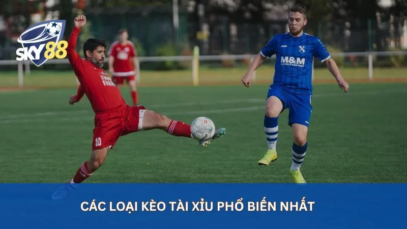 Các loại kèo tài xỉu phổ biến nhất