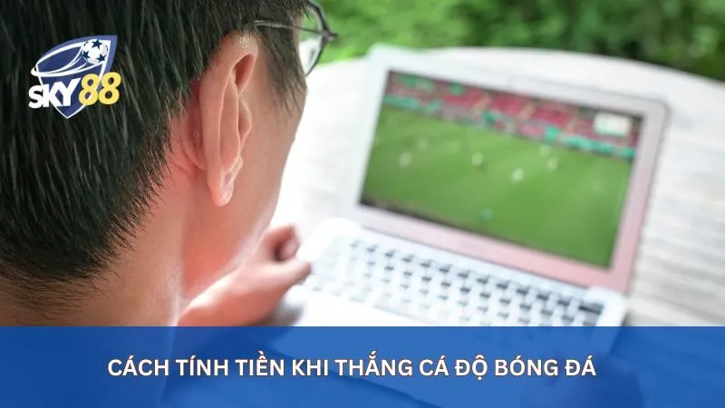 Hướng Dẫn Cách Tính Tiền Kèo Bóng Đá Dễ Hiểu Cho Người Mới 2 Cách tính tiền khi thắng cá độ bóng đá