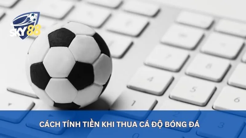 Hướng Dẫn Cách Tính Tiền Kèo Bóng Đá Dễ Hiểu Cho Người Mới 3 Cách tính tiền khi thua cá độ bóng đá