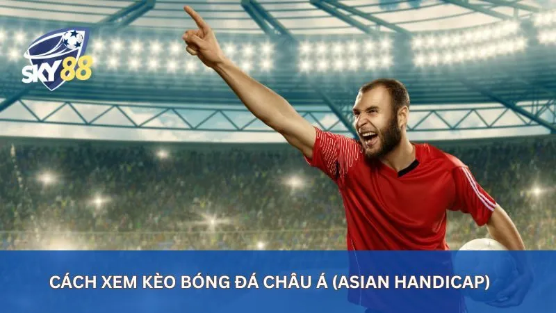 Hướng Dẫn Xem Kèo Bóng Đá Từ A-Z Cho Người Mới Bắt Đầu 1 Cách xem kèo bóng đá Châu Á (Asian Handicap)