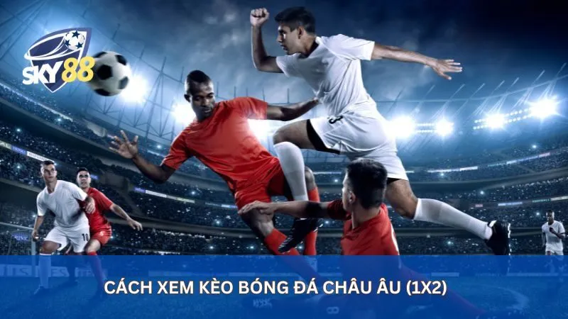 Hướng Dẫn Xem Kèo Bóng Đá Từ A-Z Cho Người Mới Bắt Đầu 2 Cách xem kèo bóng đá Châu Âu (1x2)