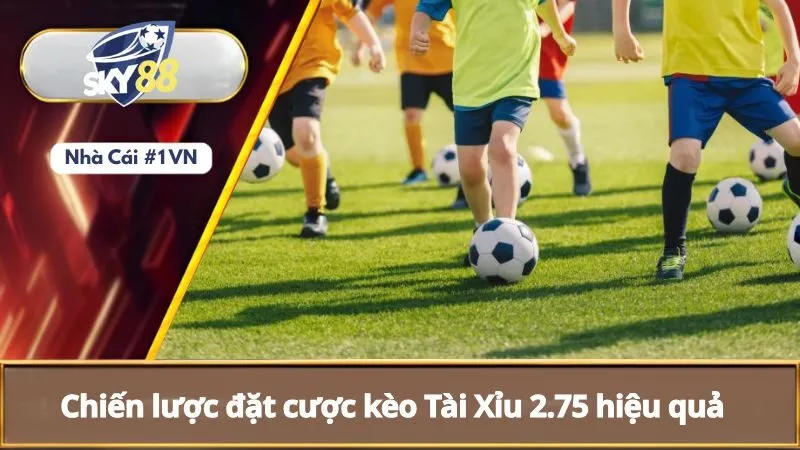 Kèo Tài Xỉu 2.75 Là Gì? Vì Sao Nên Chơi Kèo Tài Xỉu 2.75 3 Chiến lược đặt cược kèo tài xỉu 2.75 hiệu quả