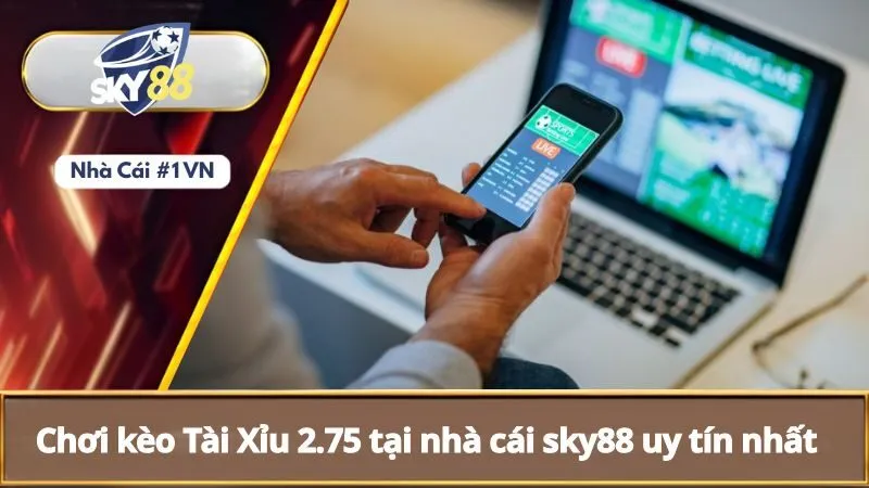 Kèo Tài Xỉu 2.75 Là Gì? Vì Sao Nên Chơi Kèo Tài Xỉu 2.75 4 Chơi kèo tài xỉu 2.75 tại nhà cái sky88 uy tín nhất