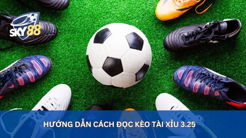 Kèo Tài Xỉu 3.25 là gì? Mẹo chơi kèo tài xỉu 3.25 hiệu quả nhất 2 Hướng dẫn cách đọc kèo tài xỉu 3.25