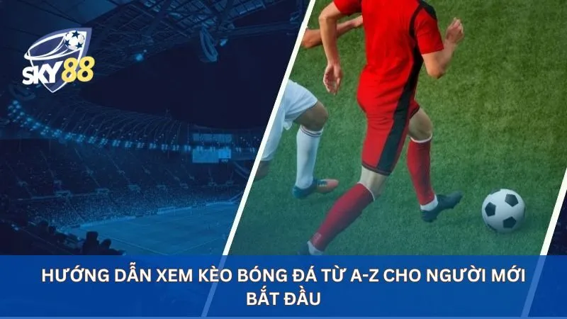 Hướng Dẫn Xem Kèo Bóng Đá Từ A-Z Cho Người Mới Bắt Đầu