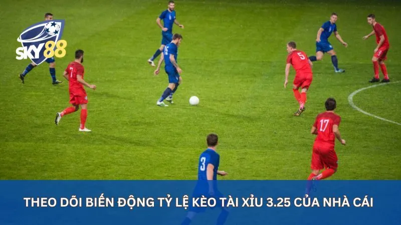 Kèo Tài Xỉu 3.25 là gì? Mẹo chơi kèo tài xỉu 3.25 hiệu quả nhất 3 Theo dõi biến động tỷ lệ kèo tài xỉu 3.25 của nhà cái